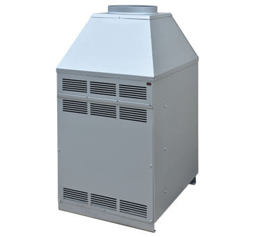 DS gas furnace