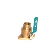 NPT Flanges With Valves (Set of 2)